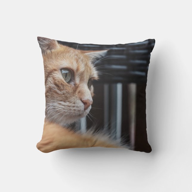 Coussin Jeter l'oreiller 16 po x 16 po (Recto)