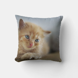 Coussin Jeter l'oreiller 16 po x 16 po