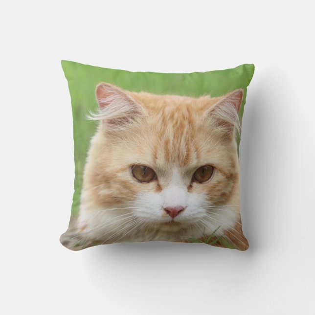 Coussin Jeter l'oreiller 16 po x 16 po (Recto)
