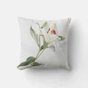 Coussin Jeter l'oreiller 16 po x 16 po