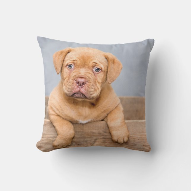 Coussin Jeter l'oreiller 16 po x 16 po (Recto)