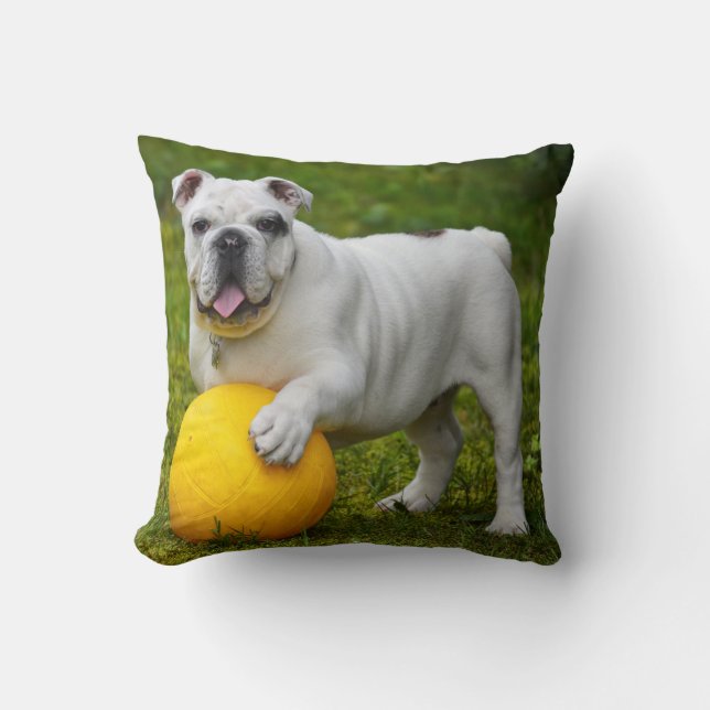 Coussin Jeter l'oreiller 16 po x 16 po (Recto)