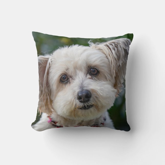 Coussin Jeter l'oreiller 16 po x 16 po (Recto)