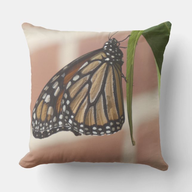 Coussin Jeter L'Oreiller Avec L'Image Du Papillon Monarque (Recto)
