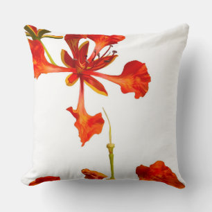 Coussin Jeter Pillow Royal Poinciana Flower