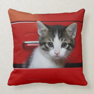 Coussin Jeter un coup d'oeil de chaton