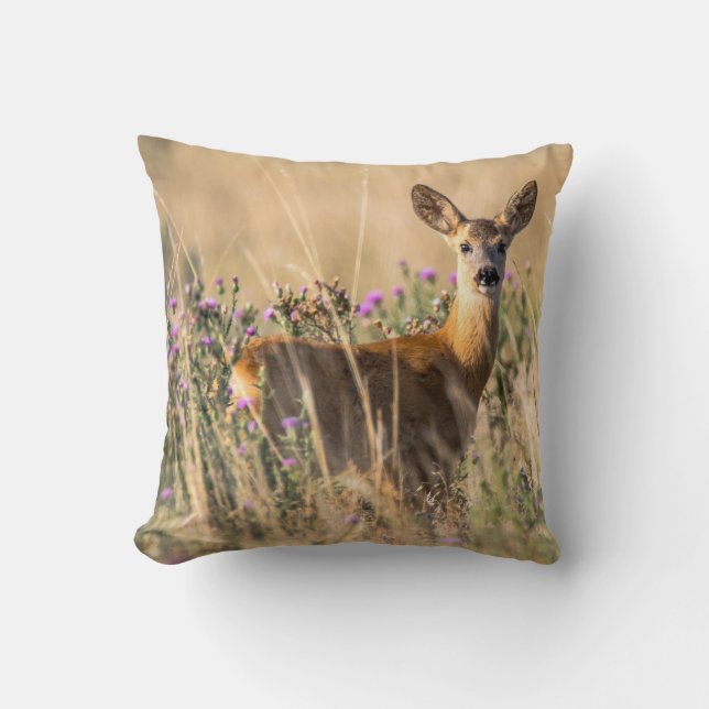 Coussin Jeune cerf de chevreuil dans le pré (Recto)