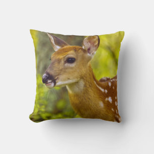Coussin Jeune cerf de Virginie à Whitefish, Montana, États