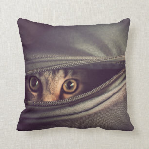 Coussin Jeune chaton tigré