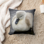 Coussin Jeune cygne du cygne | de bébé (Couverture)