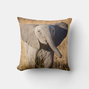 Coussin Jeune éléphant de savane