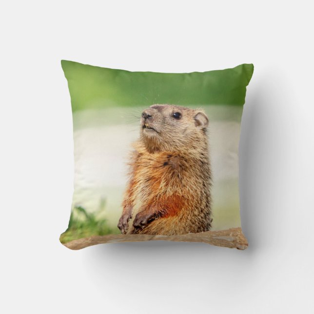 Coussin Jeune marmotte (Recto)