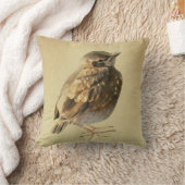 Coussin Jeune merle noir (Couverture)