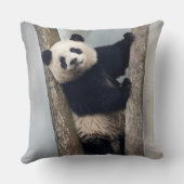 Coussin Jeune panda grimpant à un arbre, Chine (Verso)