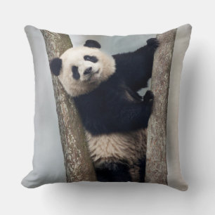 Coussin Jeune panda grimpant à un arbre, Chine