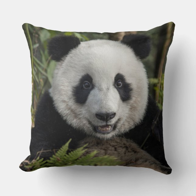 Coussin Jeune panda heureux, Chine (Recto)