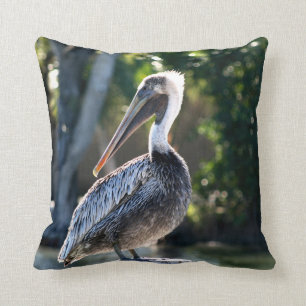 Coussin jeune pélican sur la photographie sauvage d'oisea