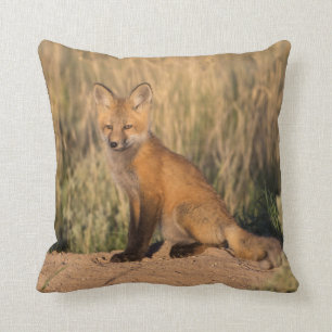 Coussin Jeune Renard rouge à Golden Hour