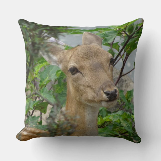 Coussin Joli cerf en jachère près de l'oreiller à lancer (Recto)