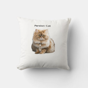 Coussin Joli chat persan beige avec collier de perles assi