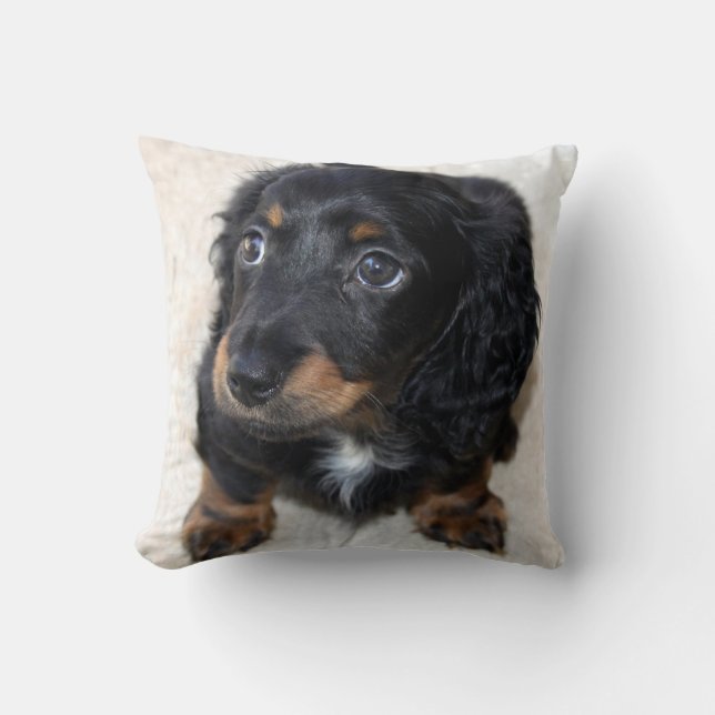 Coussin Joli Chien chiot noir Dachshund (Recto)