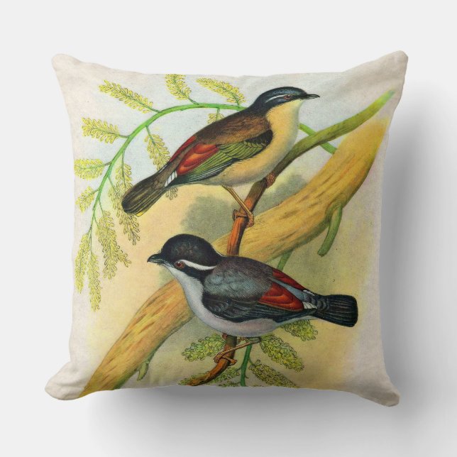 Coussin joli imprimé d'oiseaux (Recto)