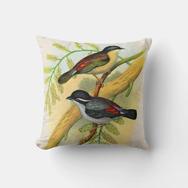 Coussin joli imprimé d'oiseaux (Recto)
