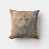 Joli Minou Chat Roux Funky Visage