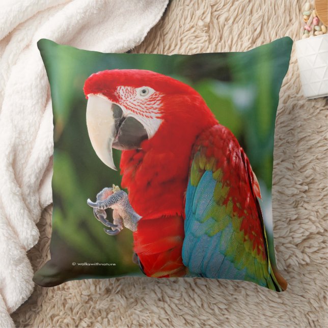 Coussin Joli oiseau de perroquet à ailes vertes macaw colo (Couverture)