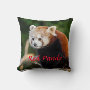 Coussin Joli Panda roux Nature sauvage Texte rouge