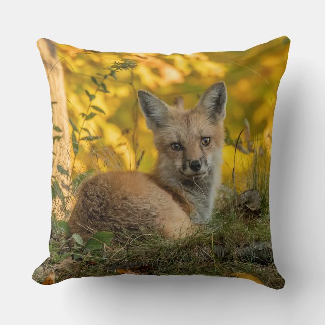Coussin Joli Petit Renard      (Recto)