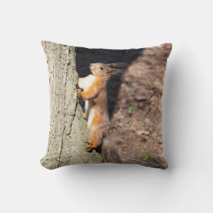 Coussin Jolie affiche d'écureuil roux sur un arbre