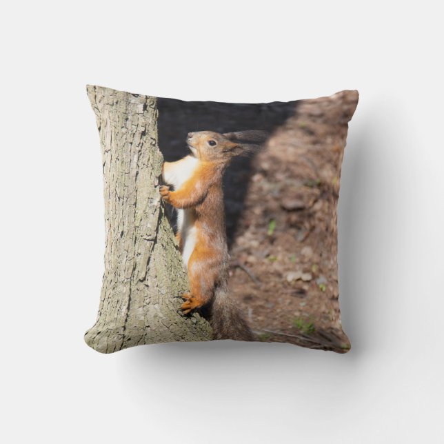 Coussin Jolie affiche d'écureuil roux sur un arbre (Recto)