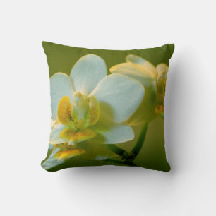 Coussin jolie orchidée blanche dans le vert. Jardin floral