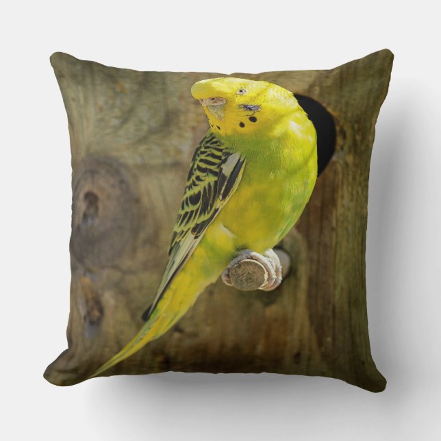 Coussin Jolie Parakeet Jaune (Recto)