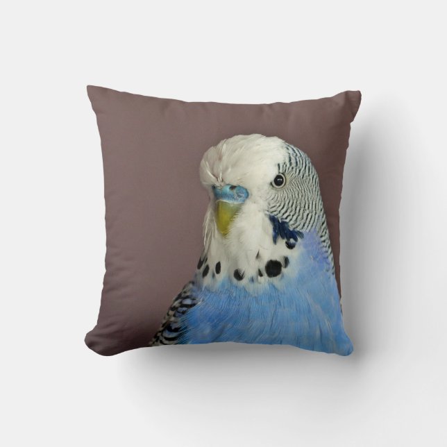 Coussin Jolie prise bleue (Recto)