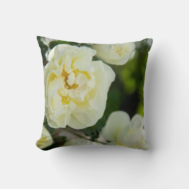 Coussin Jolies roses blanches pour positif  (Recto)