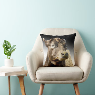 Coussin Jour du foin : Un moment Brown d’encrassement de l