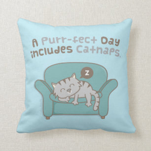 Coussin Journée Parfaite avec Petits Soms de Chat Blague d