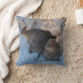 Coussin Joyeux et mignons quokkas sur la plage (Couverture)