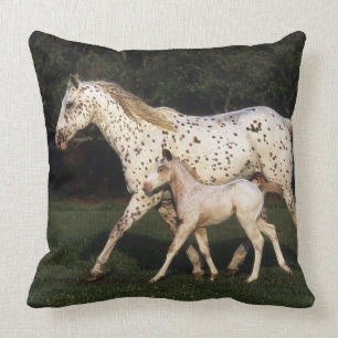 Coussin Jument et poulain d'Appaloosa dans le domaine