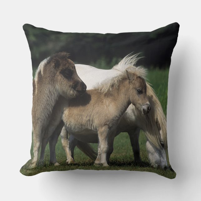 Coussin Jument et poulains miniatures 3 (Recto)