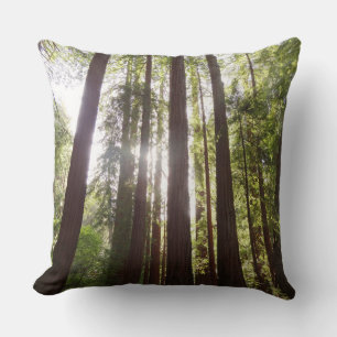 Coussin Jusqu'aux Séquoias le Matin