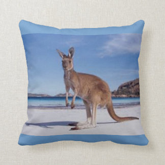 Coussin kangourou