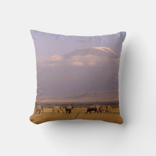 Coussin Kenya : parc national d'Amboseli, Éléphants