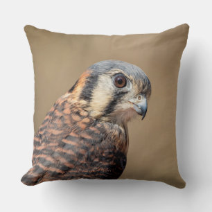Coussin Kestrel américain