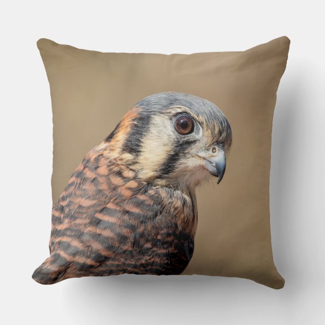 Coussin Kestrel américain (Recto)