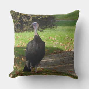 Coussin Kevin La Turquie - Vieux Wethersfield, CT