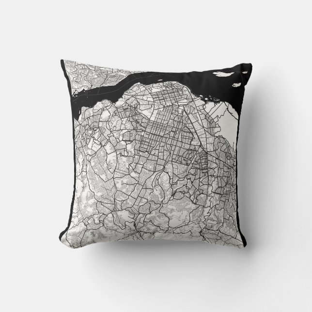 Coussin Kinshasa DR Congo Map (Recto)