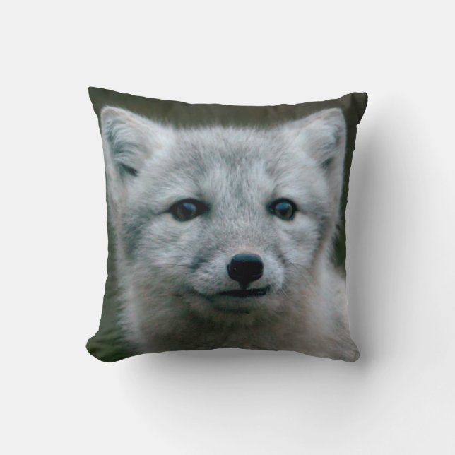 Coussin Kit de Fox arctique des images | de Getty (Recto)